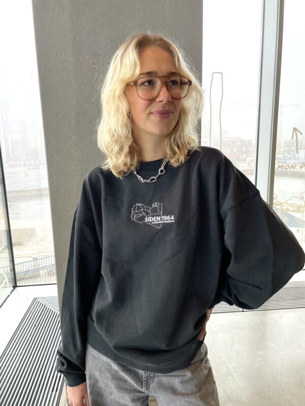 Libyen sort vasket sweatshirt - Billede 2