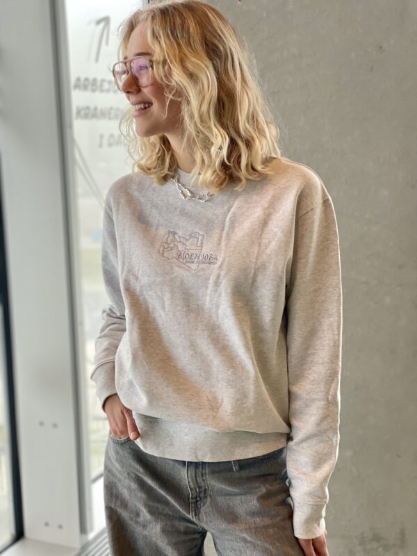 Libyen grå sweatshirt - Billede 5